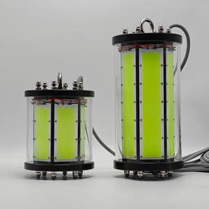 Luz LED Sumergible para Atraer <span class=keywords><strong>Peces</strong></span> con Longitud <span class=keywords><strong>de</strong></span> Onda Científica, Luz Verde, Alcance <span class=keywords><strong>de</strong></span> 50 m, Pesca Profesional, Investigación, Uso Comercial - Product Image 3