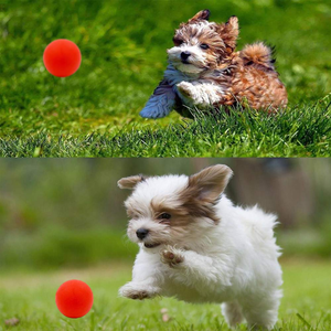 2026 New Product Direct Supply Custom Low Price <b>Interactive</b> Luxury Dog <b>Toys</b> Rubber <b>Toy</b> - Product Image 5