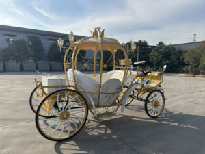 Carruaje de Cenicienta con Diseño de Calabaza, Último Modelo, Elegante, para Bodas, Color Personalizado, Estructura de Acero con Certificación CE, Gran Venta - Product Image 2