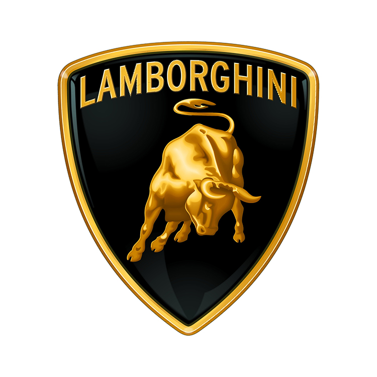 拉伸室内黑色缎全车罩防尘 - buy indoor car cover