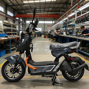 Bicicleta Eléctrica Urbana de Alta Calidad de 500W y 16 Pulgadas con Batería de 48V 20Ah y Motor Trasero sin Escobillas de 1000W, en Oferta, Envío Disponible - Product Image 1