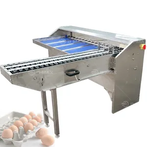 Fully auto Egg Processing Equipment Grading Machine Commercial Egg Sorter Classifier Machine Size By Weight