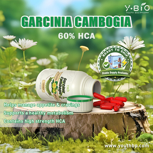 Hete producten Garcinia Cambogia capsules Energieopwekkende stofwisseling voor volwassenen die gezond gewichtsondersteuning zoeken Fabrieks prijs - Product Image 2