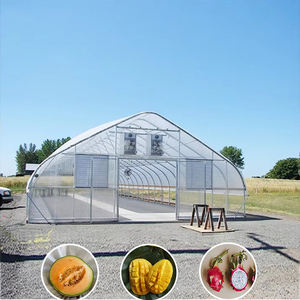 <span class=keywords><strong>Serre</strong></span> tunnel simple en film PE pour la culture de tomates avec structure en tubes d'acier, largeur personnalisable, couverture plastique agricole - Product Image 5
