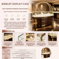 Vitrine à bijoux classique GZowin en verre haut de gamme avec fond arqué et éclairage LED – Présentoir de luxe durable de haute qualité pour colliers
