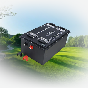 12.8V400Ah加熱蓄電池Akkumlator 12 V 6 Dmz12 Lifepo4 24V Con Bms Pacco Batterie 12 V 12Ah 6 Dzm 12 2Hr Litokala - Product Image 1