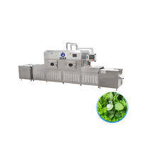 Sécheur à convoyeur continu industriel automatique pour le séchage et la stérilisation des feuilles d'herbes, équipement de four à micro-ondes
