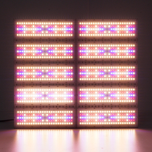 Lampe de culture LED à spectre complet pour <span class=keywords><strong>basilic</strong></span>, menthe, herbes médicinales et applications d'agriculture en serre - Product Image 5