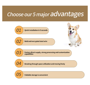 New Product Ideas <b>Dog</b> Pet Cage With Quality Assurance - Product Image 6