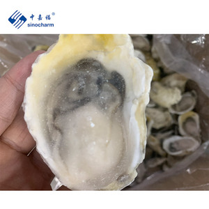 Conchiglie vive congelate ostriche fresche congelate all'ingrosso - Product Image 5