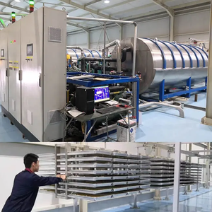 New Condition Lyophilization Freeze Drying Machine Stainless Steel <b>Electric</b> Dryer Manufacturing Plant Home Use Used Pump - Product Image 6