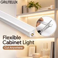 Tube en silicone LED Néon Flex Light 24V 12V 3000K/6000K Étanche Flexible Cuttable Neon Rope High CRI Flexible Neon LED Strip