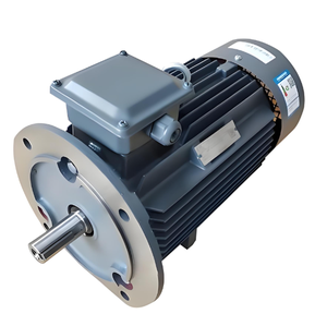 Innomotics Bt4, cadre en aluminium, antidéflagrant, service après-vente garanti, type triphasé, 3000 tr/min, fréquence 50 Hz - Product Image 2