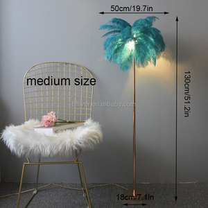 Lampadaire <span class=keywords><strong>plume</strong></span> chevet blanc <span class=keywords><strong>plume</strong></span> d'autruche coin debout lumière pour salon lampe <span class=keywords><strong>plume</strong></span> d'autruche - Product Image 3