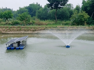 Aérateur solaire flottant, oxygénateur silencieux en acier inoxydable pour bassin de poissons et rivière, machine d'aération solaire hors réseau - Product Image 3