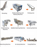 Usine de fabrication de frites de qualité supérieure personnalisable 250-3500 kg/H Solution de ligne de production complète