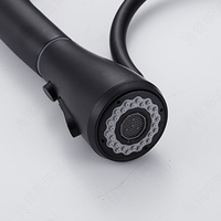 Keran Dapur Modern Matte Black 3 Fungsi Kuningan dengan Filter Air Minum Desain Chrome