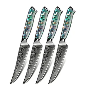 Hot selling Steak knife 4pcs with Abalone Handle Set Wholesale Steak Knife Damascus steel Set with box case Free Logo customized