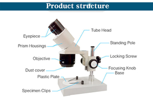 좋은 가격 Wf20x 40x- <span class=keywords><strong>80x</strong></span> 확대 전화 수리 쌍안 스테레오 현미경 - Product Image 5
