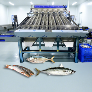 Stainless Steel 304 Roller Fish Sorter <strong>Croaker</strong> Grader Zolim Sardine Sorting Machine Mackerel Grader Small Fish Sizing Machine - Product Image 1