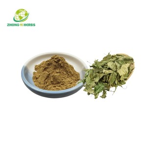 <span class=keywords><strong>Folium</strong></span> <span class=keywords><strong>Mori</strong></span> naturale estratto di foglie di gelso 1-deoxynojirimycin 1% DNJ foglia di gelso polvere - Product Image 2