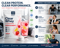 Rainwood Clear Whey Creatine Poeder OEM Fruit Proteïne Drinkmix Privélabel