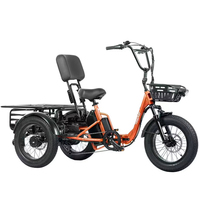 Tricycle électrique motorisé Tiniover Creek Pro 48V, carrosserie ouverte, 2 adultes/sénior, autonomie 50-70 km, capacité de charge élevée