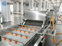 Complete fruit- en groenteverwerkingslijn met lichtinspectie, sortering, weeken, wassen en luchtdroging