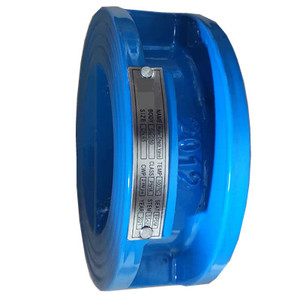 Válvula de Retención de Brida de Hierro Dúctil - Product Image 2