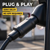 Adaptateur de charge pour véhicule électrique Type 2 vers NACS 32A, norme UE vers Tesla Amérique du Nord 250V, pour véhicule électrique ADAPTATEUR