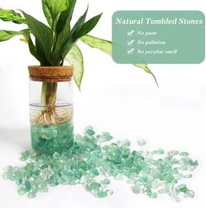 Cristalli di floite verde naturale alla rinfusa 0.9 Lb/405g piccoli pezzi caduti pietra di cristallo ciottoli decorativi - Product Image 3