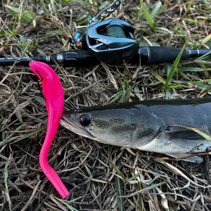 เหยื่อตก<span class=keywords><strong>ปลา</strong></span>ลอยน้ำสแตนเลส FUN 3 ชิ้น แพ็ค 2 สี ทนต่อการ<span class=keywords><strong>กัด</strong></span> 18 มม./18 กรัม ยืดหยุ่นสูง - Product Image 2