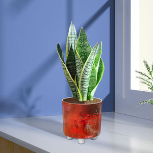 Ins – Pot de fleurs rond en plastique, peinture à l'huile, <span class=keywords><strong>aquarelle</strong></span> artistique, Simulation de maison, de bureau, Pot de fleurs décoratif - Product Image 5