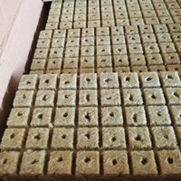 Plaques de culture hydroponique en laine de roche 1,5 m – Écologiques, modernes, sans terre, pour semis, haute absorption d'eau, stériles, ignifuges