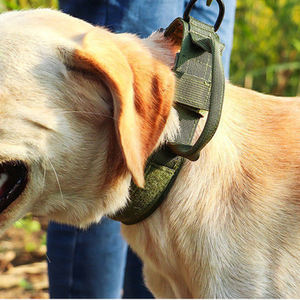 <span class=keywords><strong>Collar</strong></span> de perro táctico de camuflaje, <span class=keywords><strong>Collar</strong></span> de entrenamiento ajustable de nailon, hebilla de Metal resistente con asa para perros medianos y grandes - Product Image 2