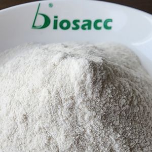 Fournisseur direct d'usine, meilleur prix, poudre de gomme de guar de qualité alimentaire biologique <span class=keywords><strong>halal</strong></span> Biosacc, 25 kg en vrac, durée de conservation de 24 mois - Product Image 4