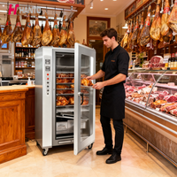 Fumoir électrique intelligent 4-en-1, fumoir, rôtissoire, vapeur sèche, acier inoxydable, pour saucisses, bacon, canard rôti, équipement de fumage