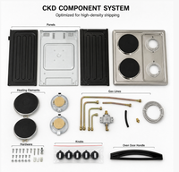 Cuisinière hybride autoportante CKD FCL 2 gaz 2 électriques avec four, kit d'assemblage complet, panneau en acier inoxydable, fabrication professionnelle