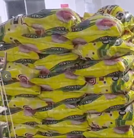 Lessive en poudre pour machine à laver Sénégal, haute mousse, détergent en poudre pour le linge