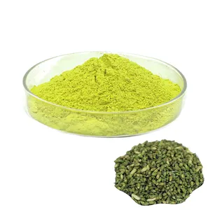 Hot Sale Sophora Japonica Flower Extract 95%-98% Quercetin Powder Quercetine