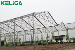 Thương mại chất lượng cao lớn có thể thu vào mái nhà kính để bán - Product Image 5