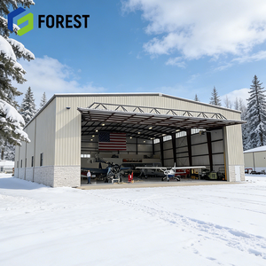 Hangar de Acero de Gran Envergadura para Aviones, Aislado, para Logística Aeronáutica y Suministro Global - Product Image 1