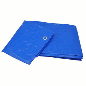 Feuille de <span class=keywords><strong>bâche</strong></span> PE bleue de haute qualité couverture de toit légère et imperméable <span class=keywords><strong>bâche</strong></span> en poly argenté pour voitures pour garçons et filles - Product Image 4