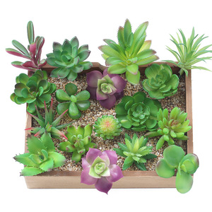 Plantas Suculentas Artificiales de Plástico en Miniatura, Accesorios para Arreglos Florales, Flores Decorativas al por Mayor, Plantas Decorativas - Product Image 2
