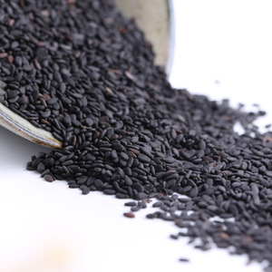 เมล็ดงาดำแห้งบดละเอียด ปรุงรสธรรมชาติแท้ ราคาส่งถูก จำนวนมาก สำหรับส่งออก - Product Image 4