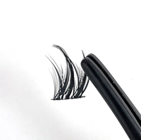 Kits de faux cils segmentés en gros pour extensions de cils DIY avec design personnalisé pour le dropshipping