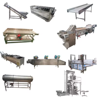 Ligne de production de chips, machine à chips de petite capacité, machine à chips de pommes de terre fraîches, ligne de production de chips de pommes de terre à vendre