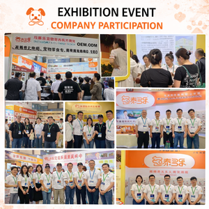 Snack Salutari per Animali Domestici OEM a Base di Pezzi di Salmone, Omega-3 per Pelle e Pelo, DHA per Cuore e Cervello - Product Image 3