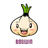 Ningbo Bobwin Commodity Co., Ltd. logo