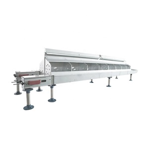 Sistema Automático de Recolección de Huevos <span class=keywords><strong>Serie</strong></span> Bangchi, Nido para Gallinas Ponedoras, Equipo para Avicultura - Product Image 2